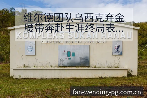 维尔德团队乌西克弃金腰带奔赴生涯终局表赛程节点与看点分析 - 问鼎PG